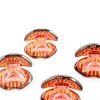 Dennis Gross Lip Plumping LED Device Model BA568210 Red Light Therapy-6